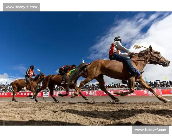 羌塘马蹄疾：恰青赛马节里的千年回响